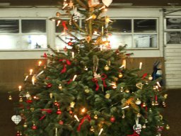img_7893_web